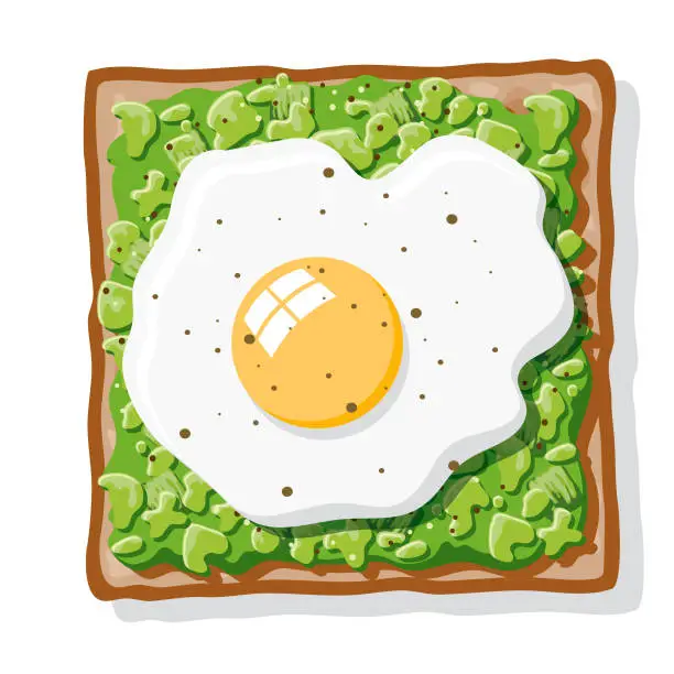 Vector illustration of Avocado Toast with Fried Egg