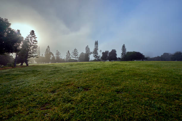 San Diego's famous Balboa park and its beautiful vegetation during the morning haze stock photo