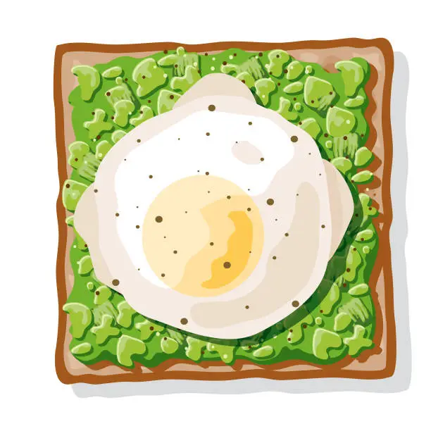 Vector illustration of Avocado Toast with a Poached Egg