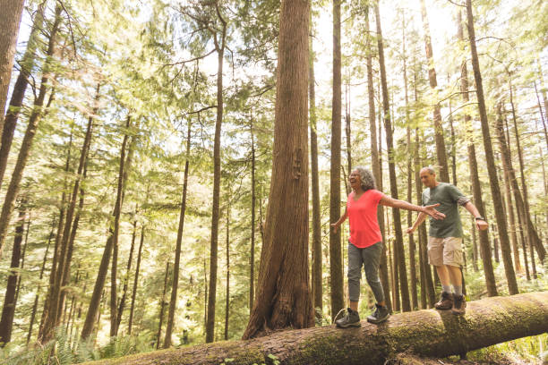 istock Senior couple hiking trip 869148510