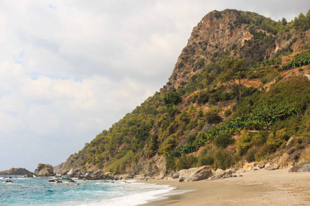 Seacape with mountain covered by pine forests and banana plantations descending to the sea with some rocks in the water