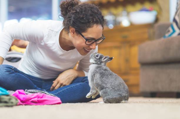 istock The Joy of Living with Pets 869152240