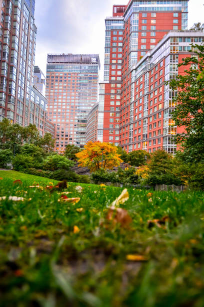 istock Nature in between the buildings 869156156