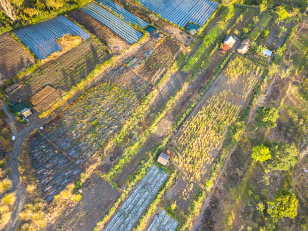 istock Aerial photography 869156460