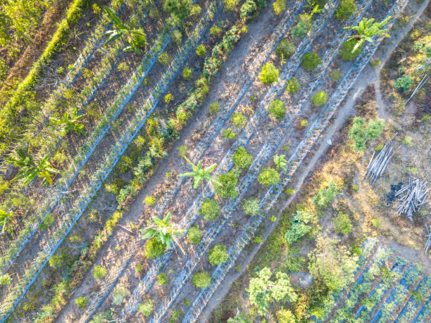 istock Aerial photography 869156516