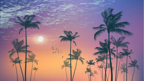 istock Exotic tropical palm trees  at sunset or moonlight, with cloudy sky.  Highly detailed  and editable 869160560