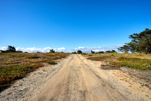 these buildings have been vacant in a deserted wasteland since the mid-nineties stock photo