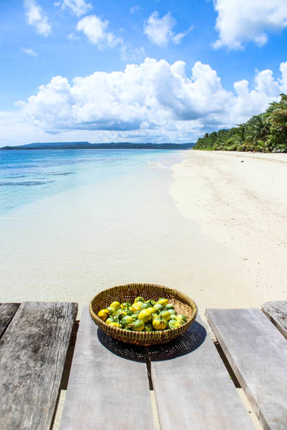 Eggplants in a bowl with tropical background