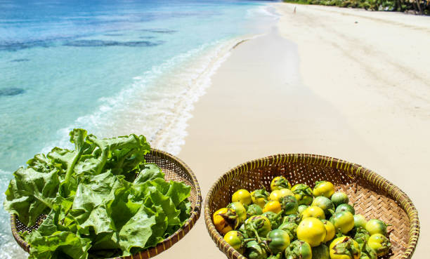 Eggplants and salad in a bowl with tropical background
