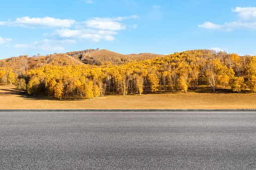 empty road with autumn landscape of grassland