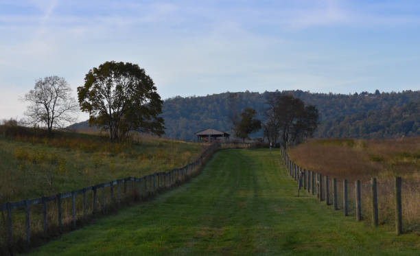 istock Fence-lined path through rural trail at dusk with tool shed in distance 869182388