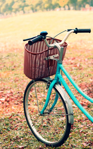 istock Bike for leisure travel. 869185040