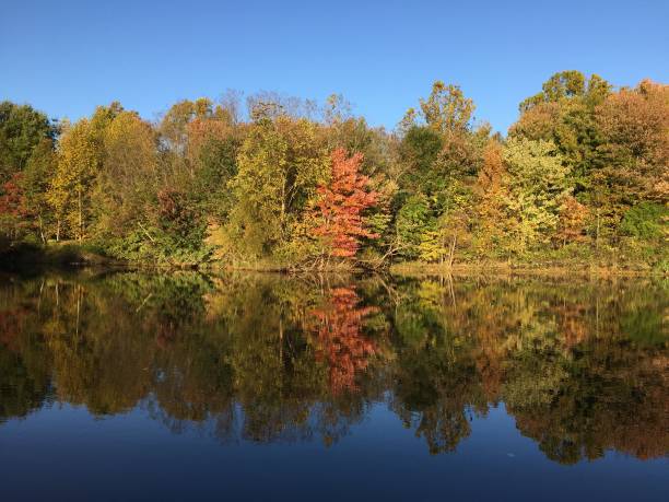 istock Autumn by the lake 869192290