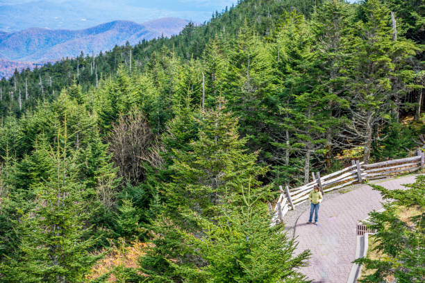A woman visiting Mt. Mitchell in North Carolina USA Mt. Mitchell has an elevation of 6400 feet, the highest point east of the Mississippi River. mt mitchell stock pictures, royalty-free photos & images