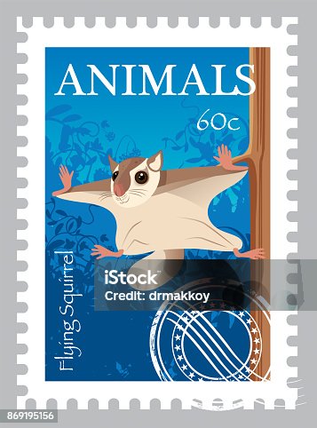 istock Flying Squirrel Stamp 869195156