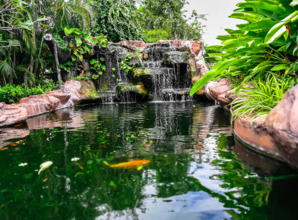 istock Front or Back Yard, Formal Garden, Waterfall, Summer, Water 869196880
