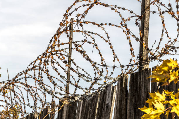 istock Barbed wire on the fence 869198998