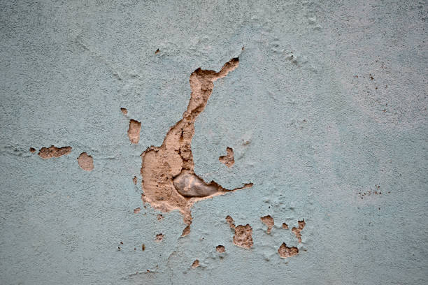 istock Goose - Plaster Damage in House Wall 869206416