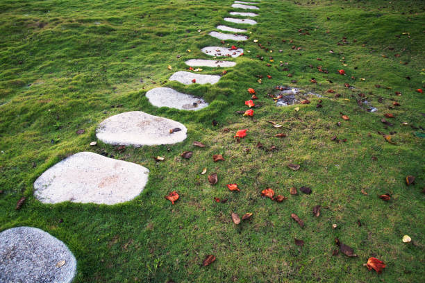 istock Stone brick footpath in green lawn 869207704