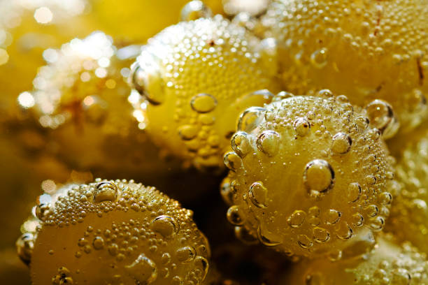 White grapes in water