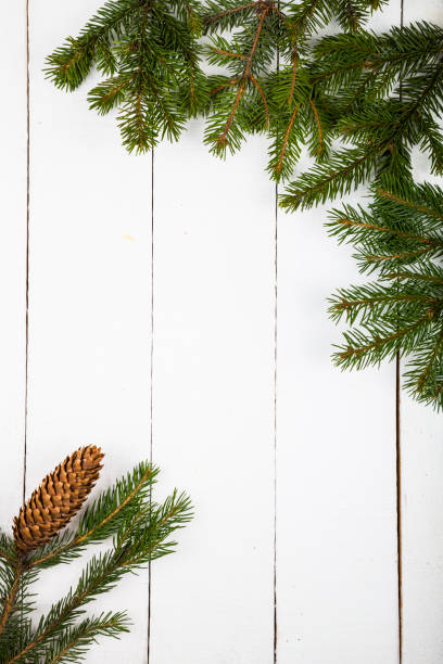 istock Fir branches on a white wooden background. 869218380