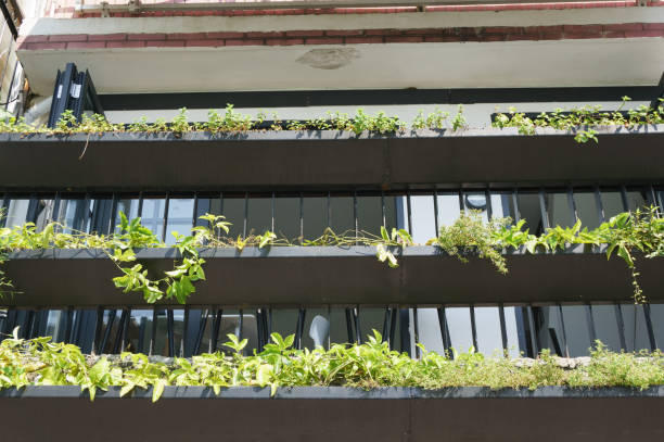 istock Balcony decorated with green plants 869218966