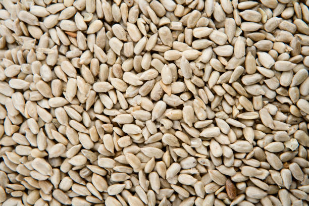 istock Shelled Sunflower Seeds 869222308