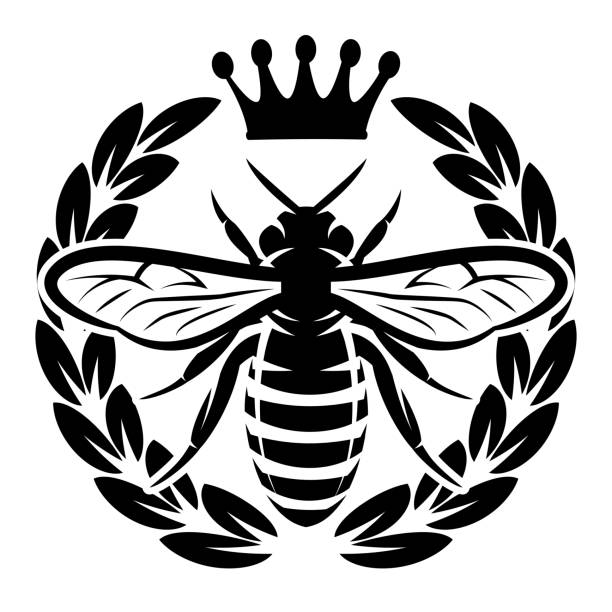 Queen Honey Bee Drawing