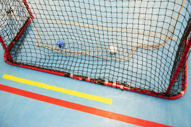 istock Empty Floorball goal with the balls in the net 869225978