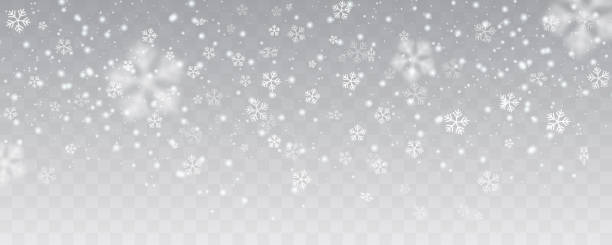 벡터 무거운 눈, 다른 모양 및 모양에 눈송이 투명 한 배경에서 많은 백색 차가운 조각 요소. 흰 눈송이 공기에서 비행입니다. 스노우 플레이크, 스노우 배경. - snowflakes stock illustrations