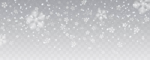 stockillustraties, clipart, cartoons en iconen met vector zware sneeuwval, sneeuwvlokken in verschillende vormen. vele elementen van de witte koude flake op transparante achtergrond. witte sneeuwvlokken vliegen in de lucht. vlokken sneeuw, sneeuw achtergrond. - sneeuwen