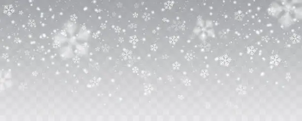 Vector illustration of Vector heavy snowfall, snowflakes in different shapes and forms. Many white cold flake elements on transparent background. White snowflakes flying in the air. Snow flakes, snow background.