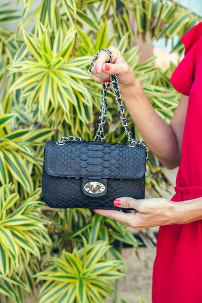 istock Closeup woman hands with fashion luxury snakeskin python handbag. Outdoors, Bali island 869250352