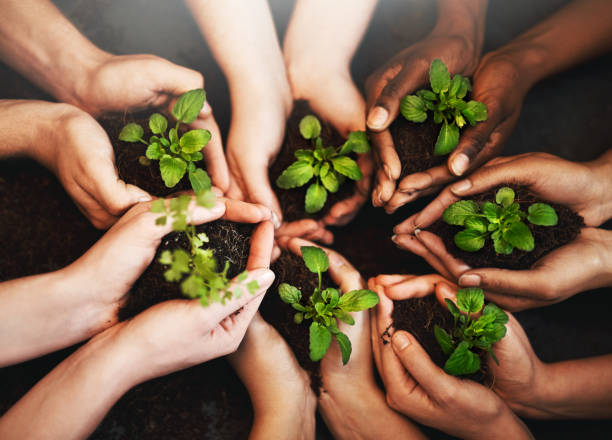 istock Dear humanity, give green a chance. Sincerely, Mother Nature 869262246