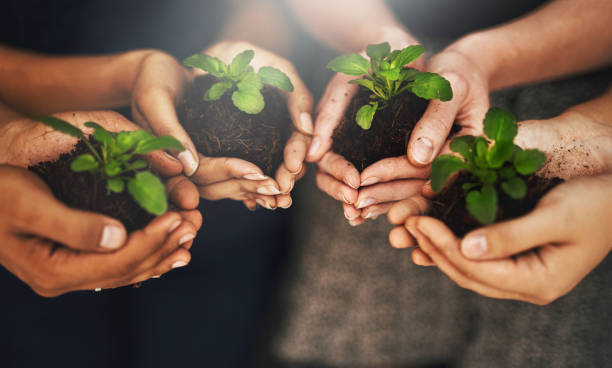 istock Going green is just good for everybody 869262254