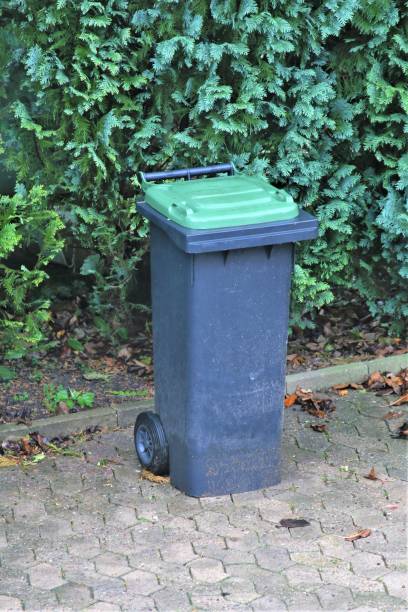istock An image of a trashcan with a green cover 869262268