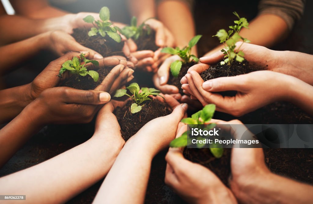Everyday should be Earth Day Cropped shot of a group of people holding plants growing out of soil Earth Day Stock Photo