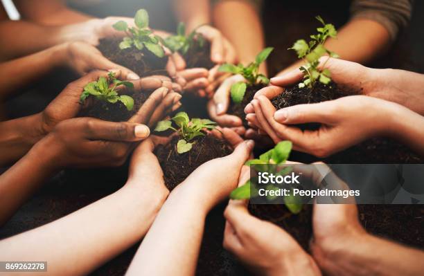 Everyday Should Be Earth Day Stock Photo - Download Image Now - Earth Day, Hand, Growth