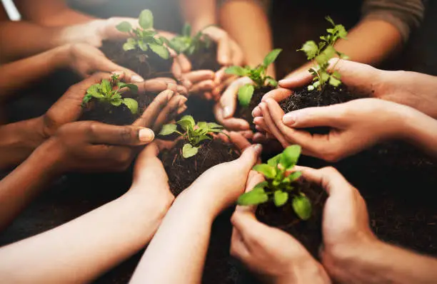 Cropped shot of a group of people holding plants growing out of soil
