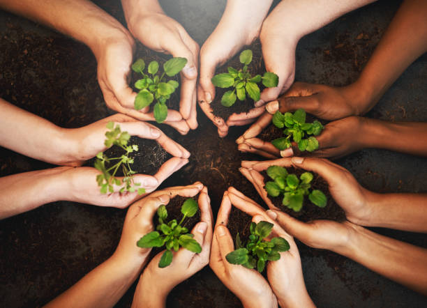 istock The healing starts now 869262300