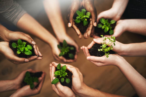istock Protecting the earth one plant at a time 869262314