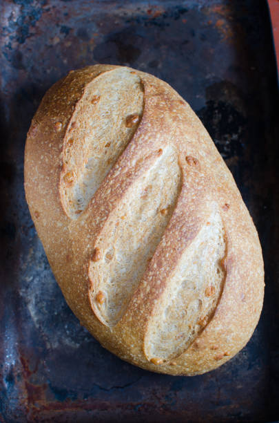 istock Homemade wheat bread with cheese on sourdough 869266478