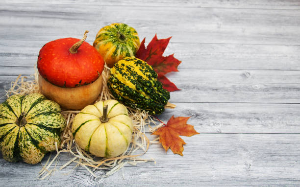 istock Pumpkins with autumn leaves 869270728