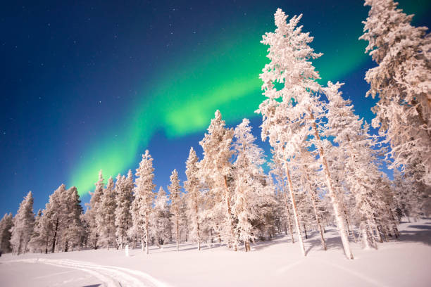 aurores boréales, aurores boréales en laponie, finlande - laponie photos et images de collection