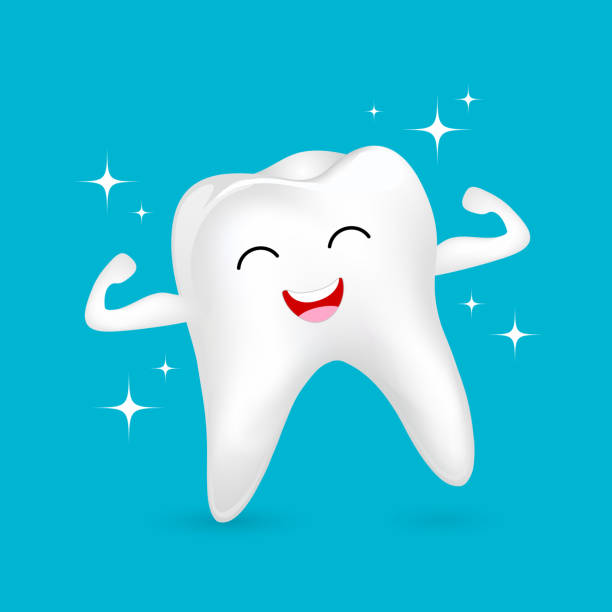 zdrowy charakter zęba pokazujący mięsień z uśmiechniętą buźką. - tooth character stock illustrations