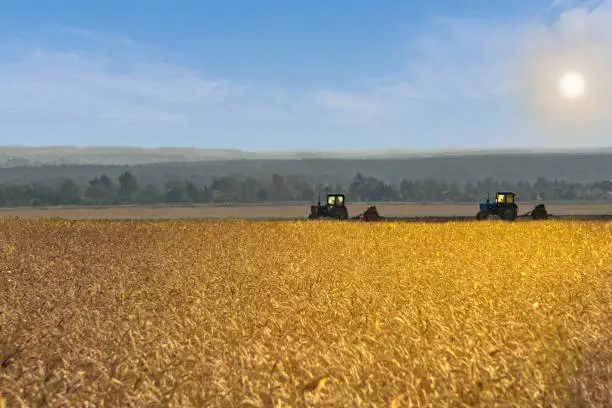 Beautiful agricultural landscape with filed of golden wheat and two old tractors equipped with seeders. Farmers sowing winter wheat in autumn.