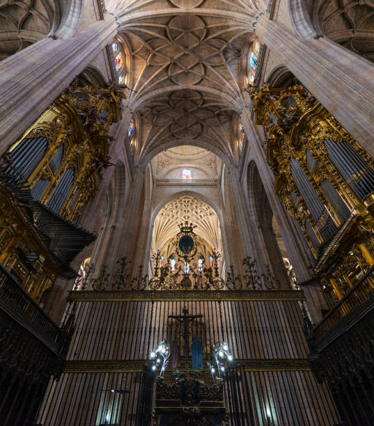 istock Arches and organs of Segovia Cathedral 869282562