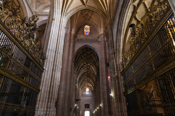 istock Arches and organs of Segovia Cathedral 869282642