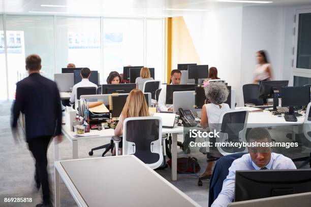 Man Walking Through A Busy Open Plan Office Stock Photo - Download Image Now - Office, Working, Busy