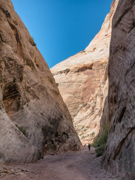 istock Capitol Gorge trail in Capitol Reef Utah, 869286290